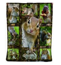 squirrel blanket (Multicolor / 60x50)